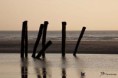 /album/wissant-sans-web-sans-net-juste-la-vie-a-wissant/photo-red-jpg/